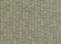 Hookedonwalls Lemuria 60653 behang