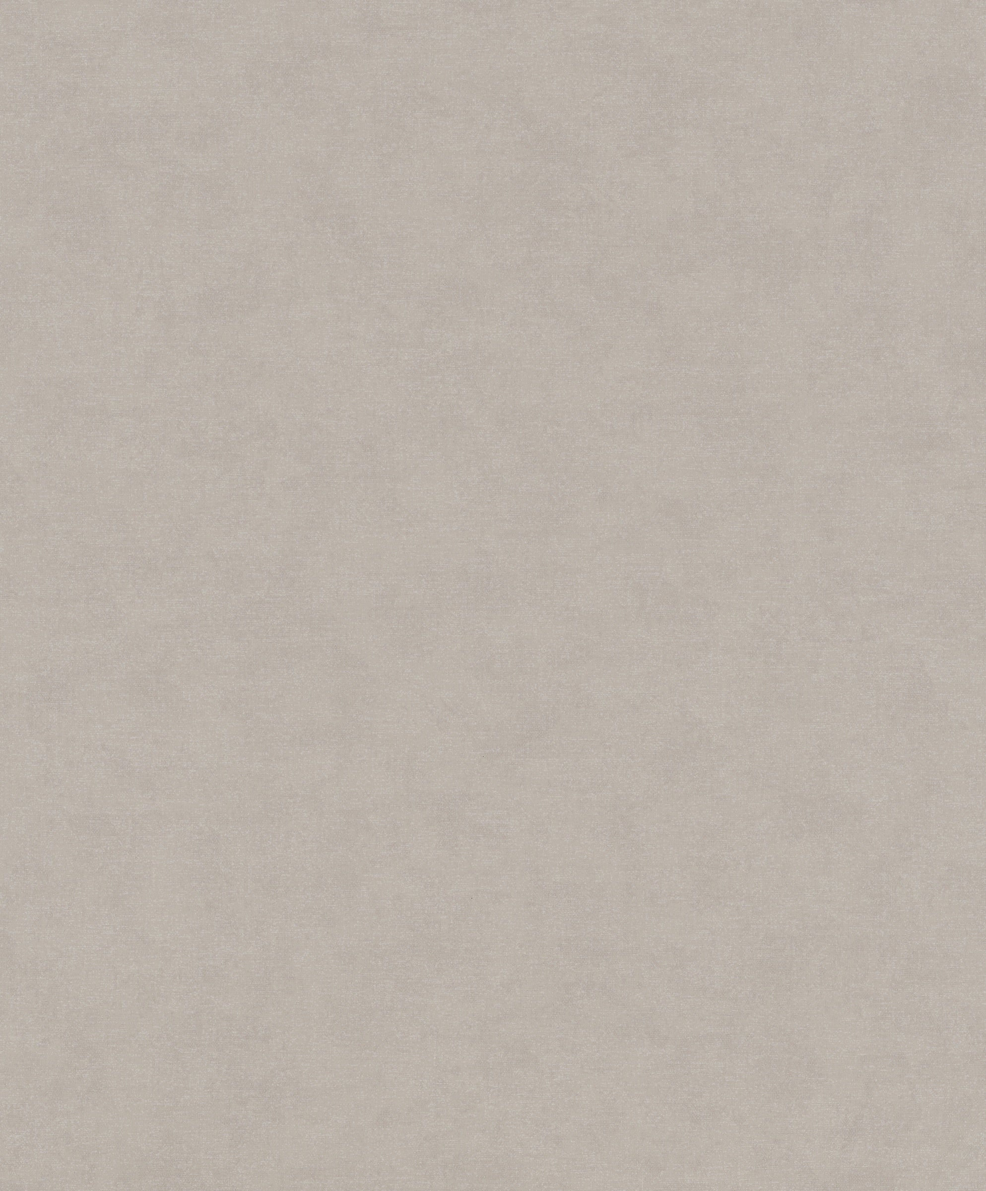 Hookedonwalls Passe Partout Monochrome 62711 behang