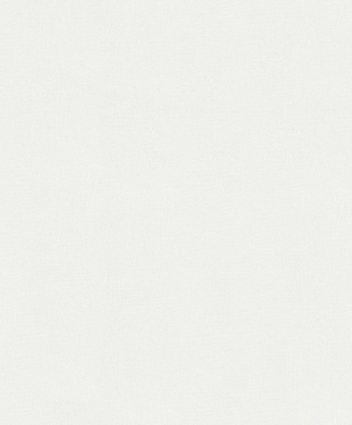 Hookedonwalls Passe Partout Monochrome 62812 behang