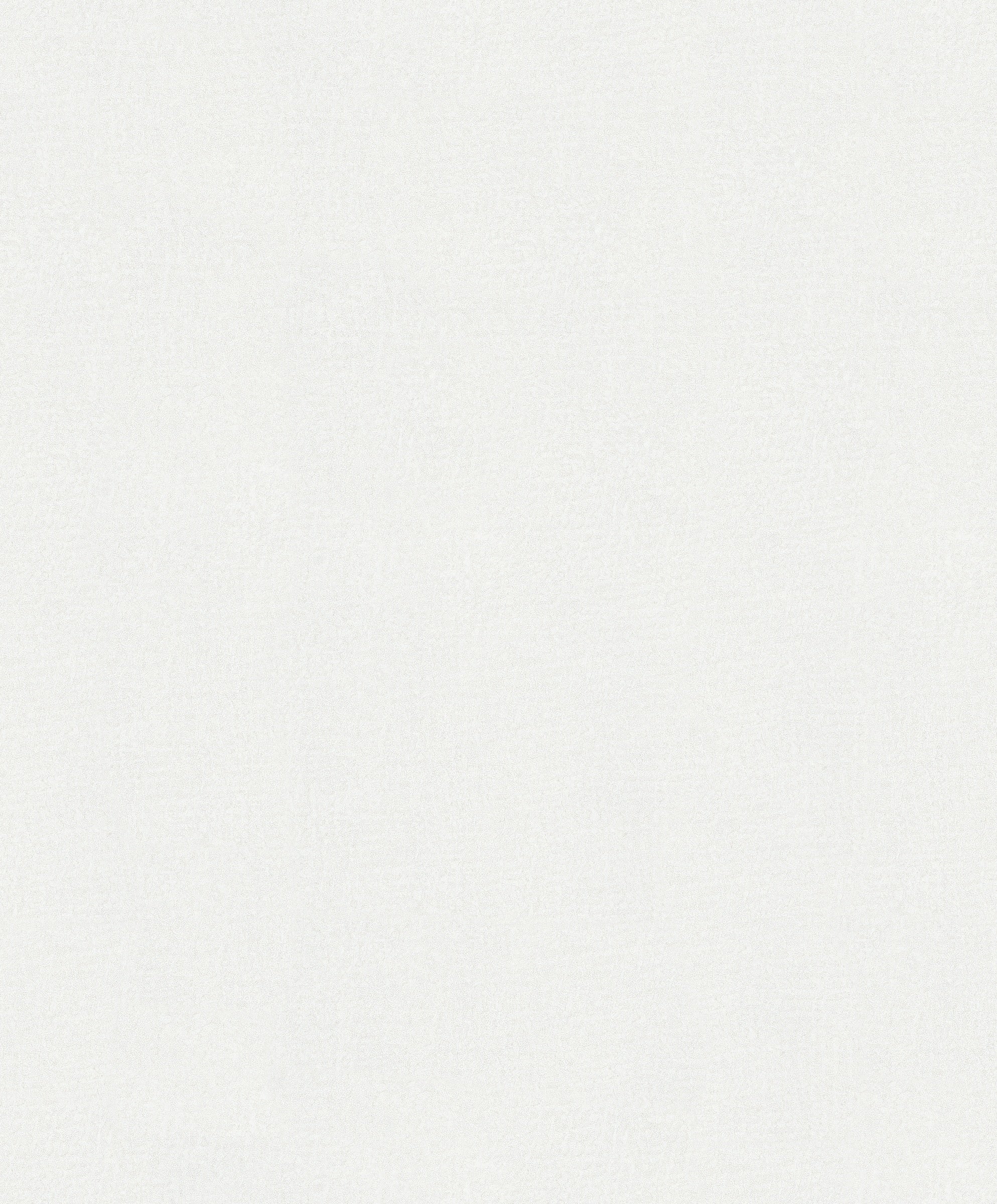 Hookedonwalls Passe Partout Monochrome 62812 behang