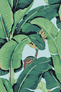 Hookedonwalls Scalamandre Hinson Palm JV26011 behang