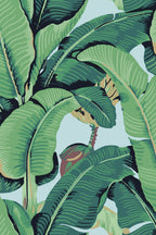 Hookedonwalls Scalamandre Hinson Palm JV26011 behang