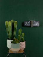 Karlsson flipklok Flip Clock No Case, zwart met chromen standaard, sfeerfoto: aan donkergroene muur naast cactussen