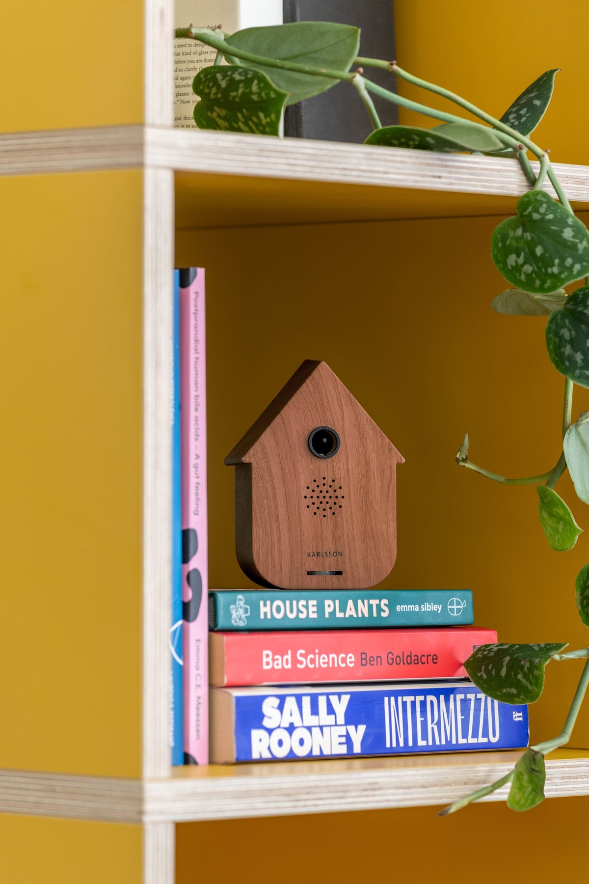 Karlsson vogelhuisje met geluid (soundbox) Modern Cuckoo, donker hout, sfeerfoto: in gele boekenkast op stapel boeken