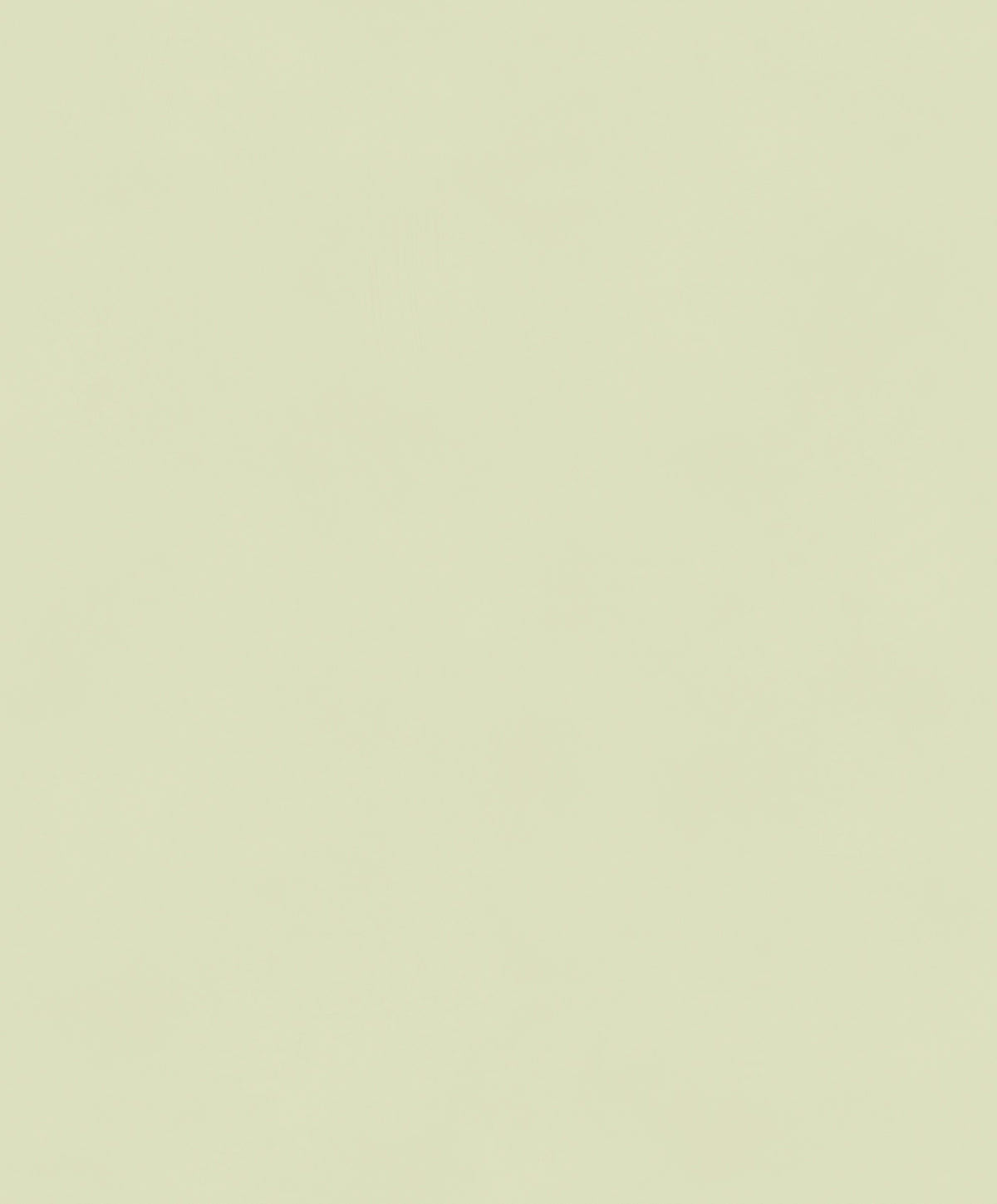 Masureel behang Color Cement