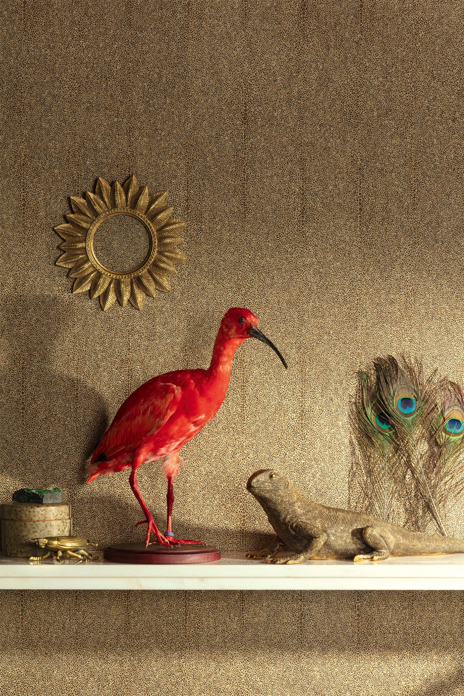 Masureel behang Iguana Amber in interieur