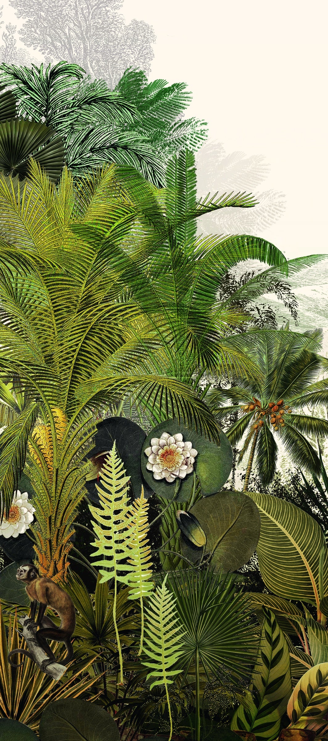 Masureel behang Discover Oasis
