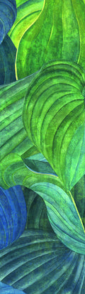 Masureel behang Hosta Aqua