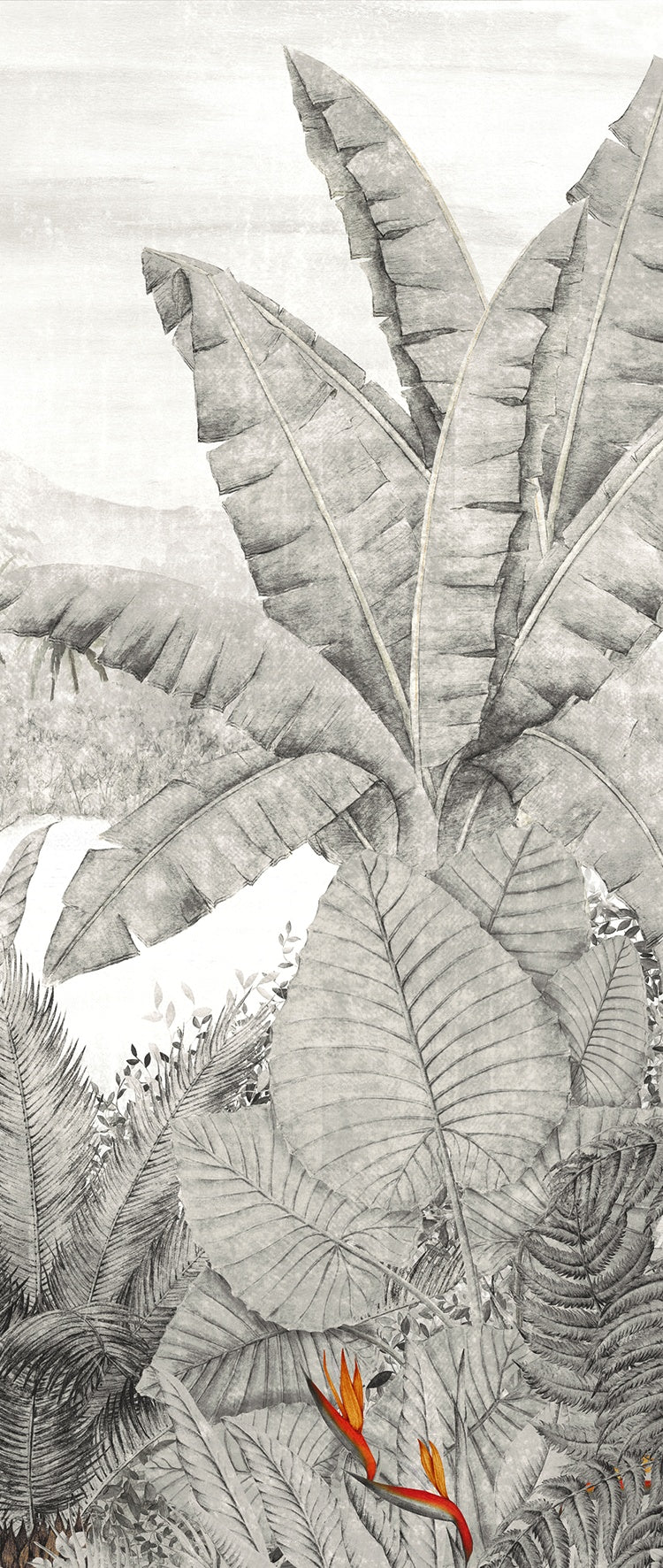 Masureel behang Rainforest Night