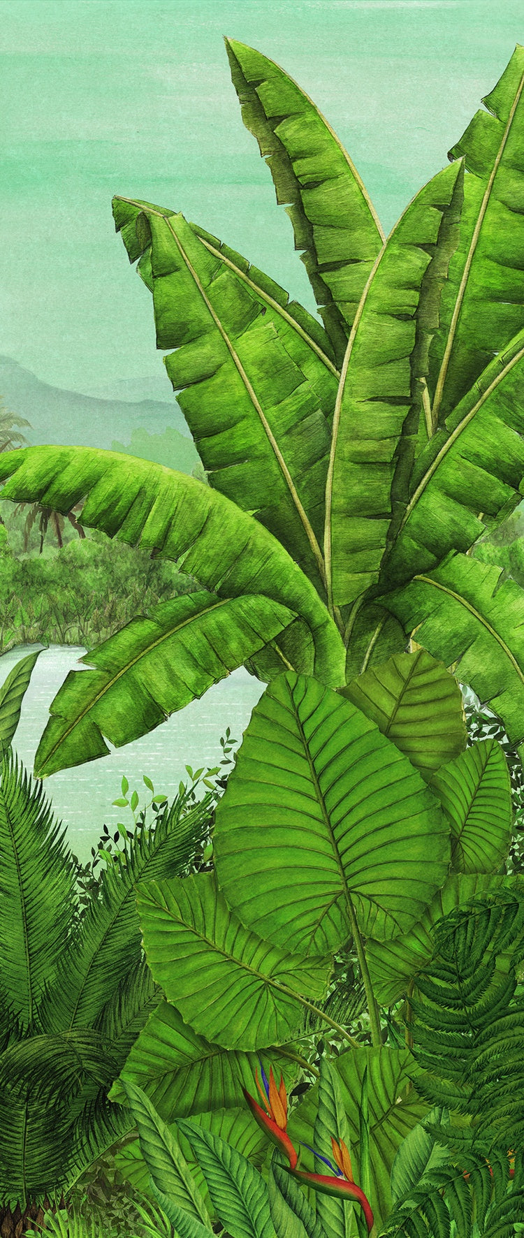 Masureel behang Rainforest Bloom