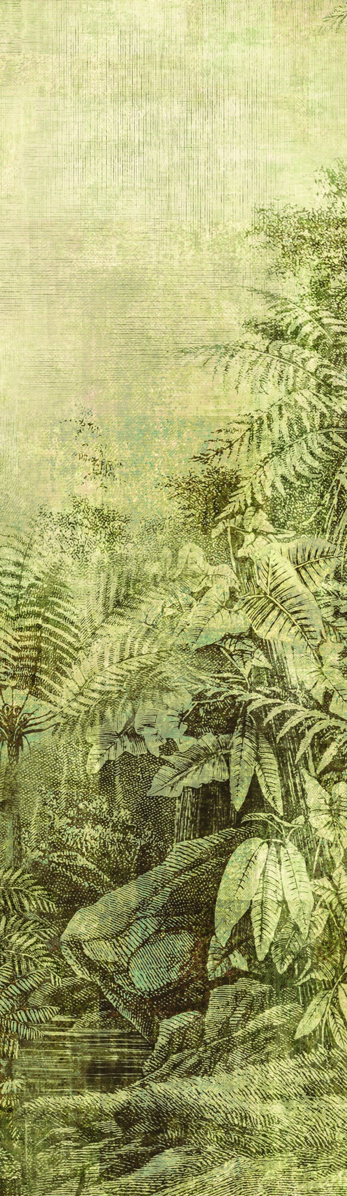 Masureel behang Wander Leaf
