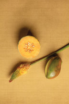 Masureel behang Dixie Ceylon in interieur