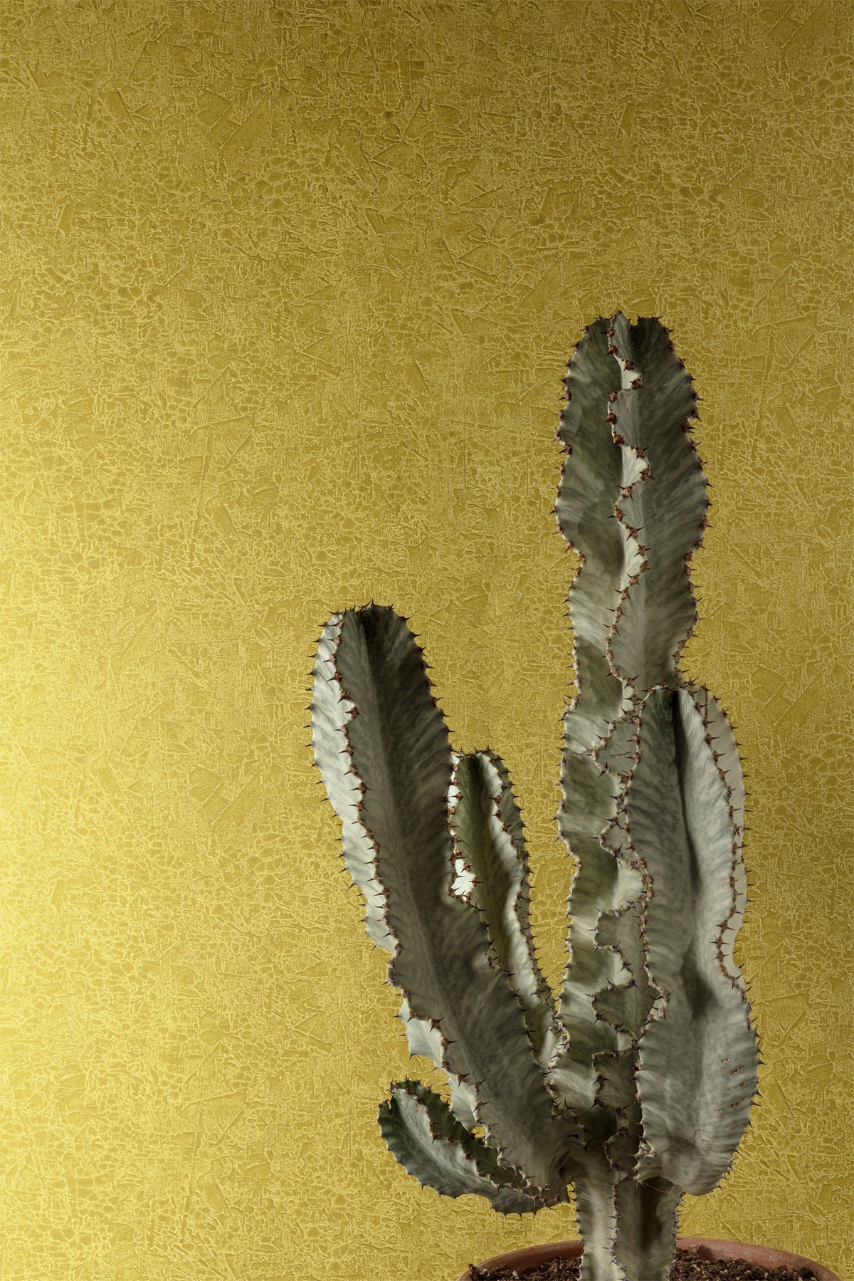 Masureel behang Ramon Olive in interieur