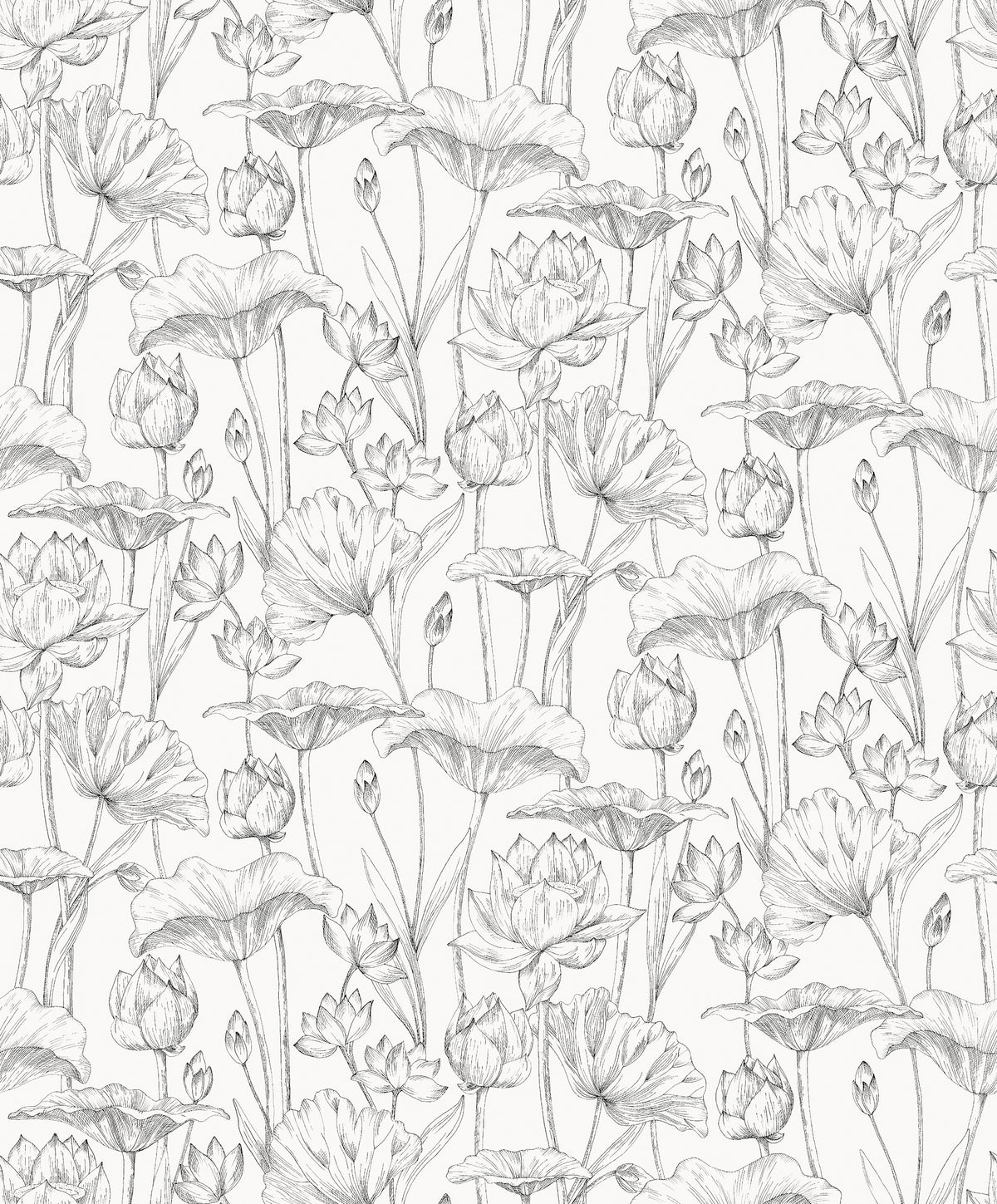 Masureel behang Lotus Black