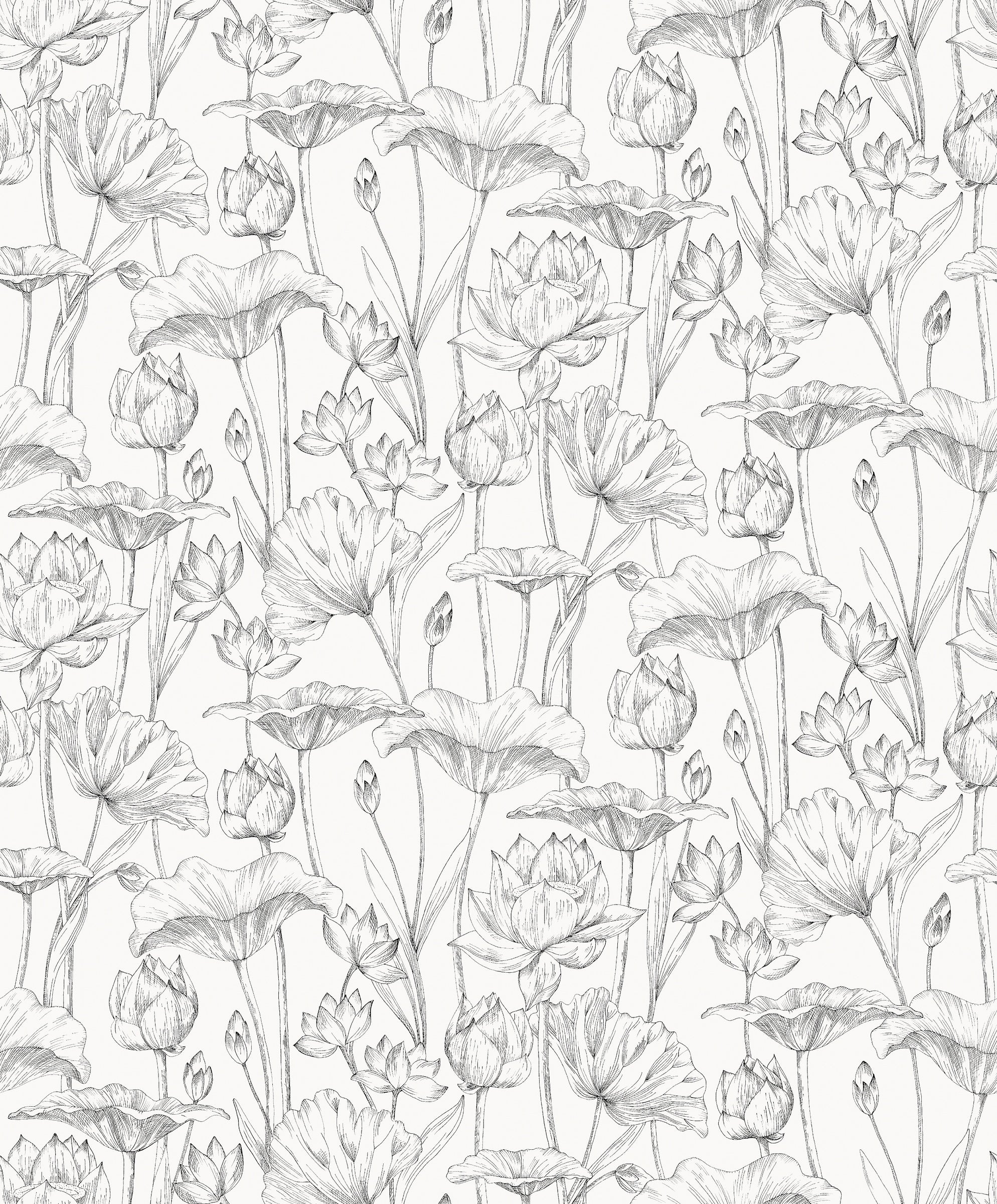 Masureel behang Lotus Black