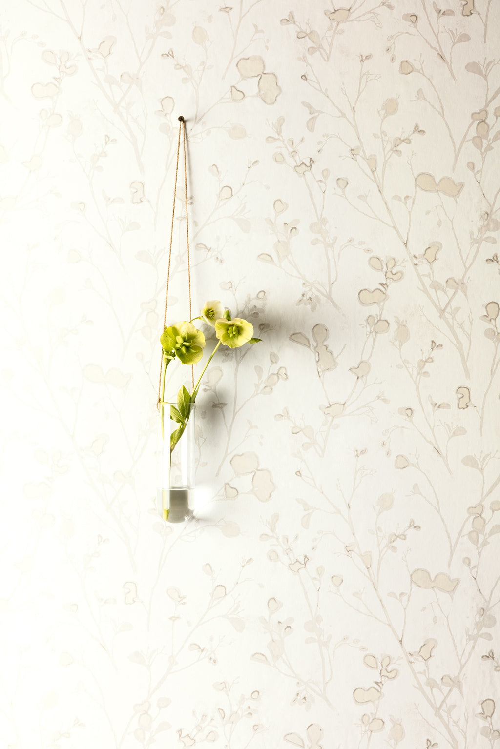 Masureel behang Alder Snow in interieur