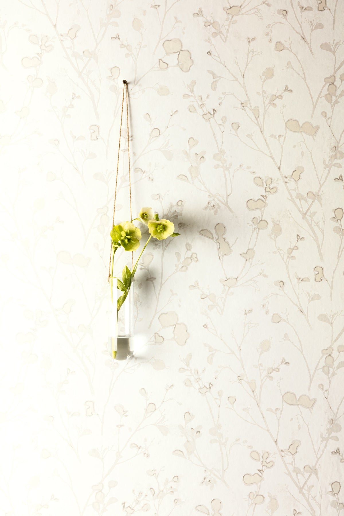 Masureel behang Alder Snow in interieur