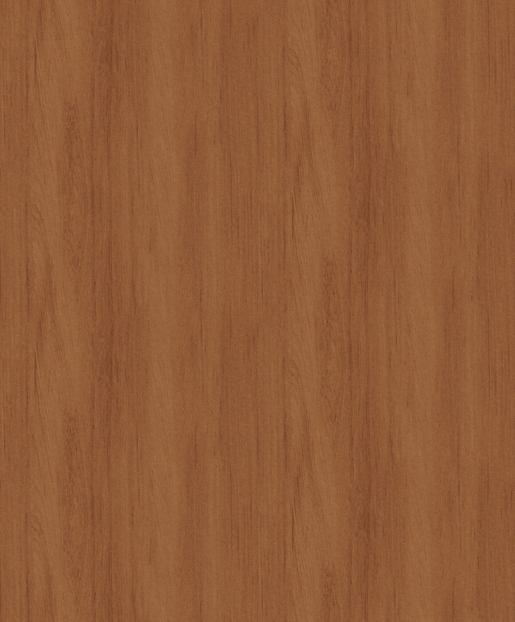 Masureel behang Wood Terra