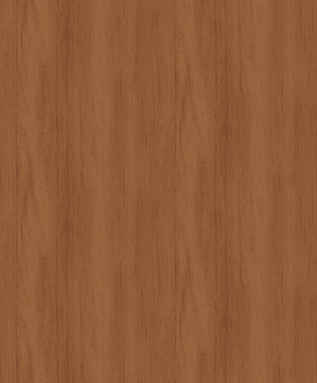 Masureel behang Wood Terra