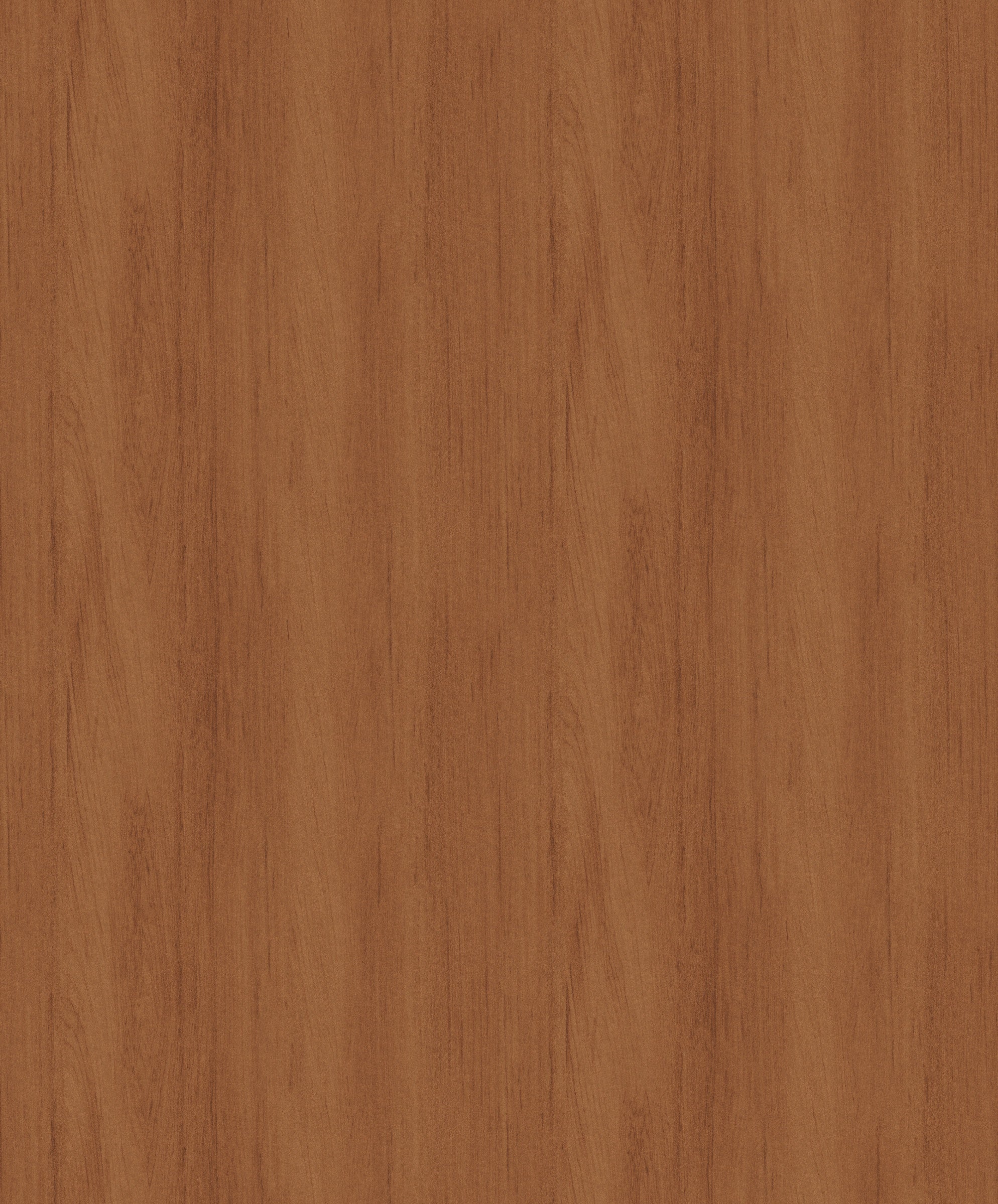 Masureel behang Wood Terra