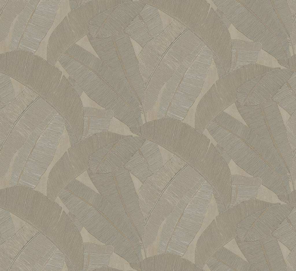 Masureel behang Banyan Elm