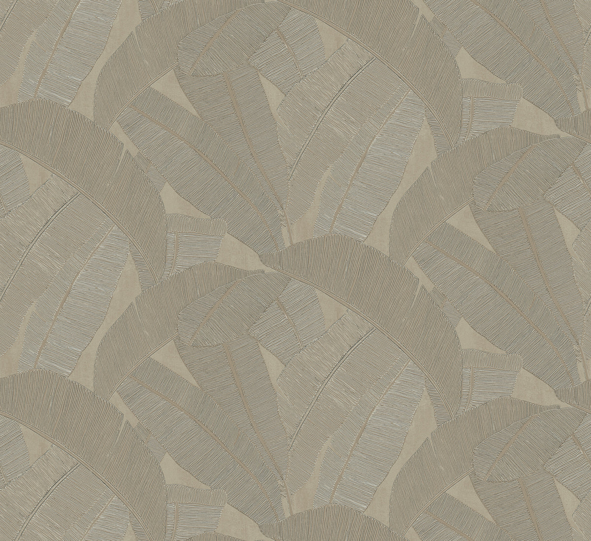 Masureel behang Banyan Elm