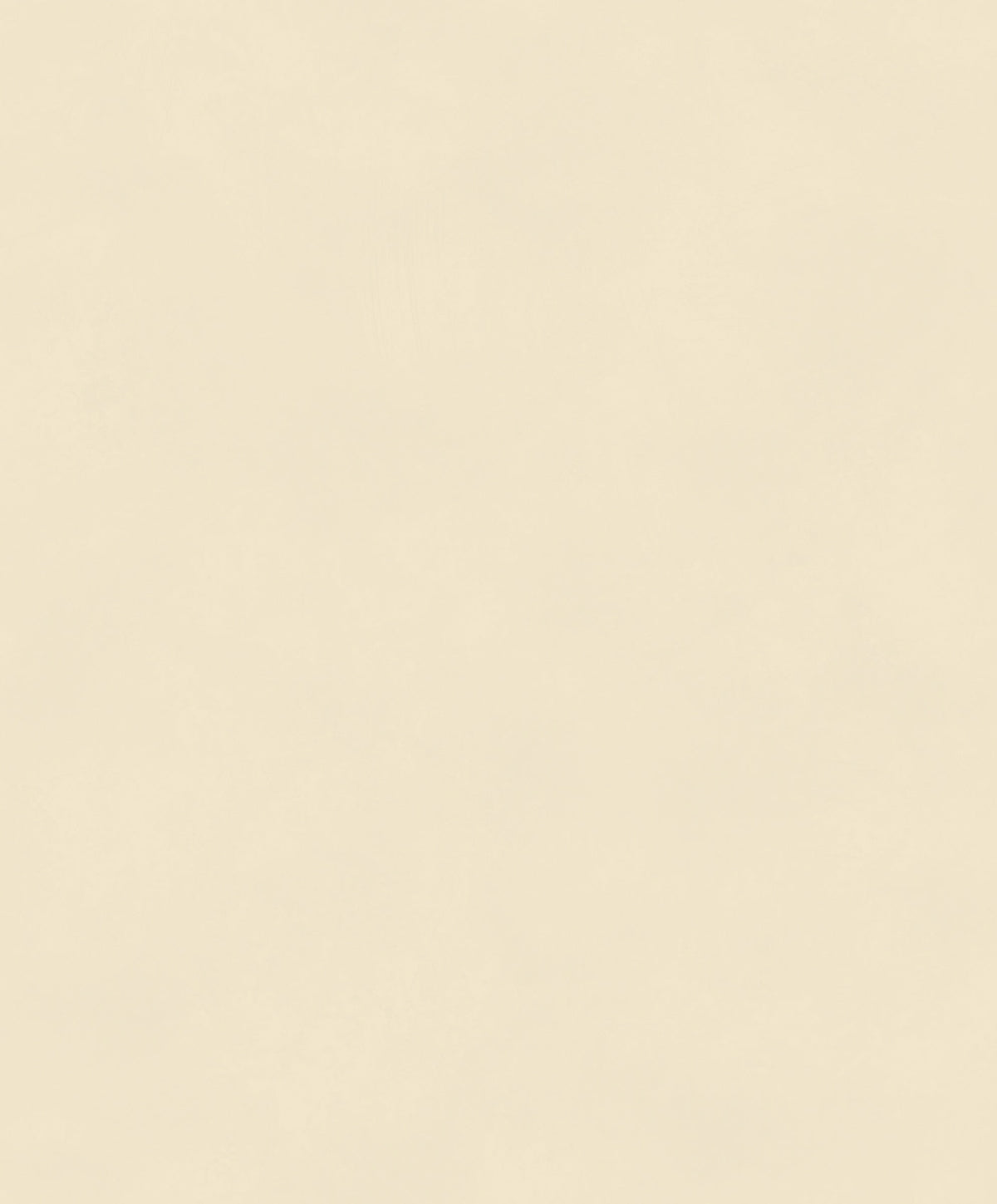 Masureel The Colour Book BLONE1005 Color Parchment behangstaal