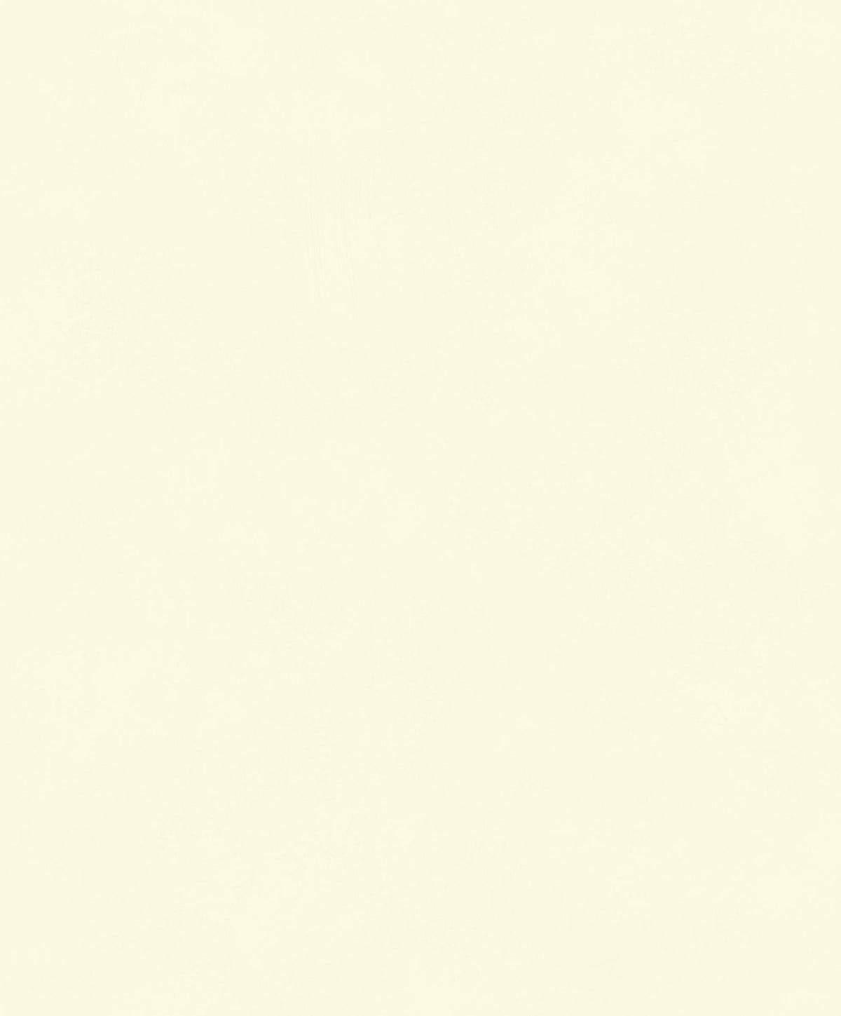 Masureel The Colour Book BLONE1010 Color Mastic behangstaal