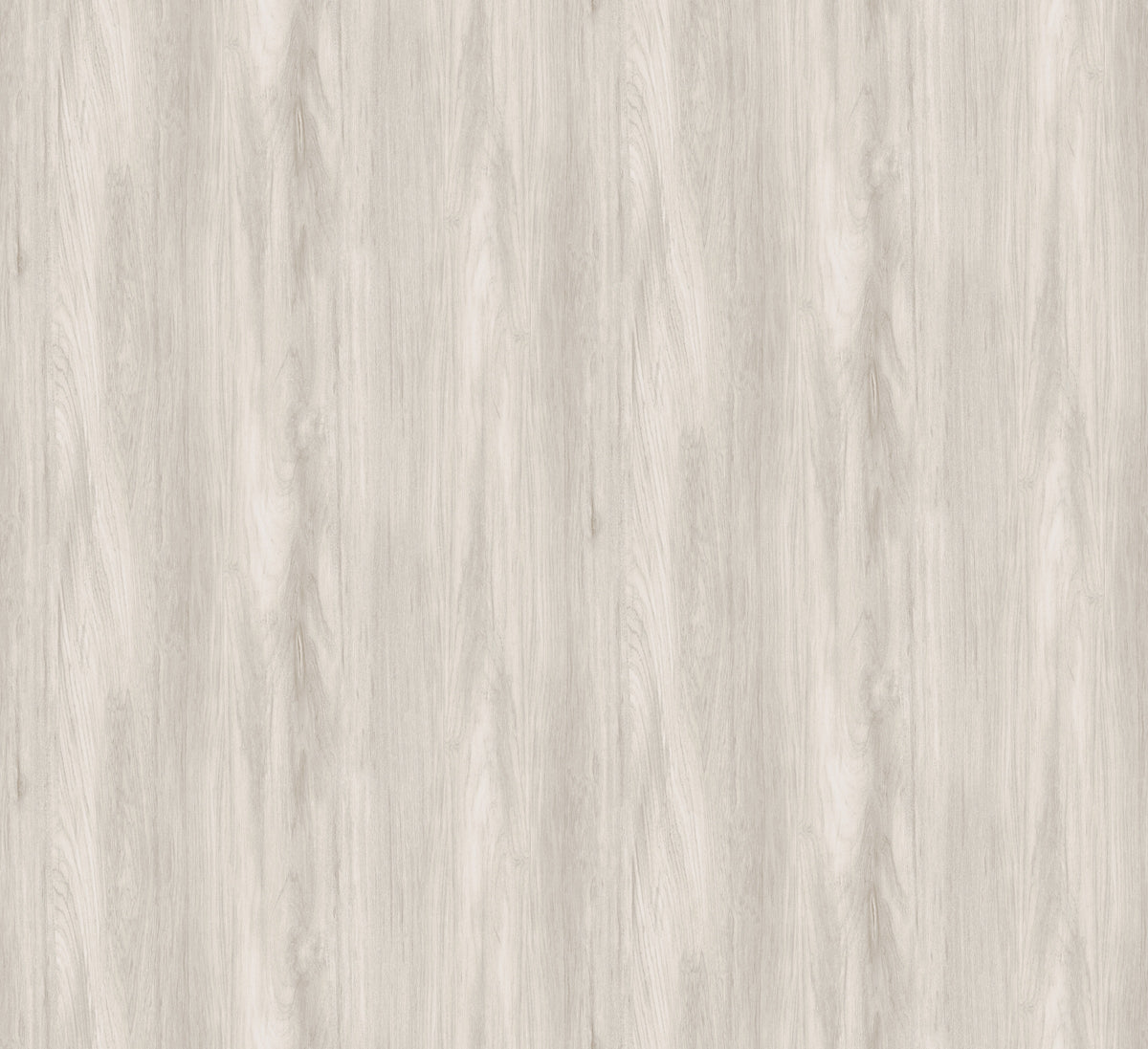Masureel behang Sugi Beech