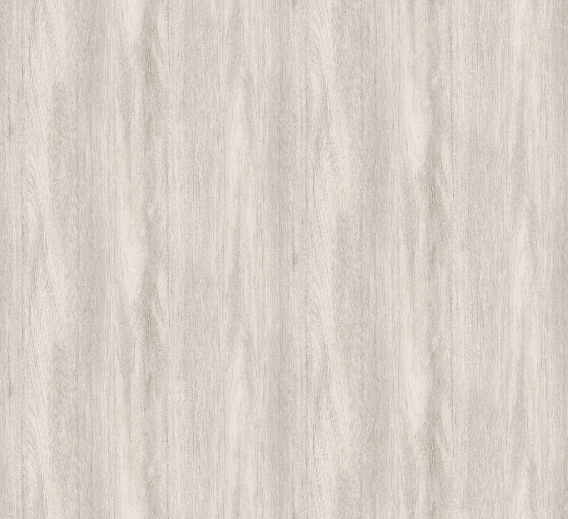 Masureel behang Sugi Beech