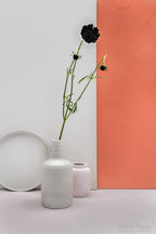 Pure & Original Calm Licetto muurverf in interieur