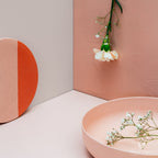 Pure & Original Chalky Coral Licetto muurverf in interieur