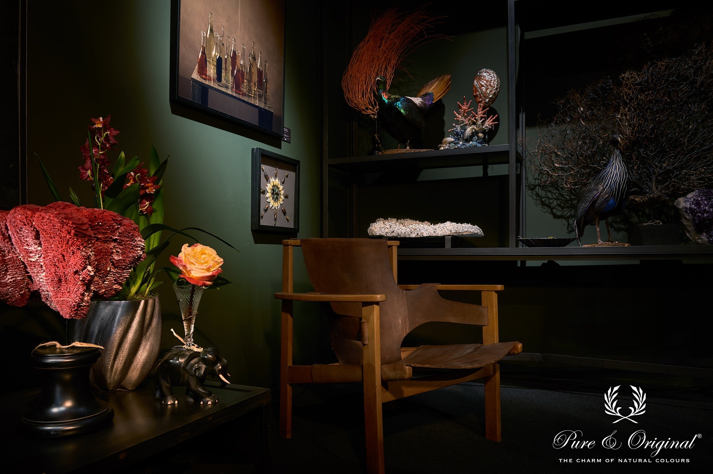 Pure & Original Dark Forest Classico krijtverf in interieur