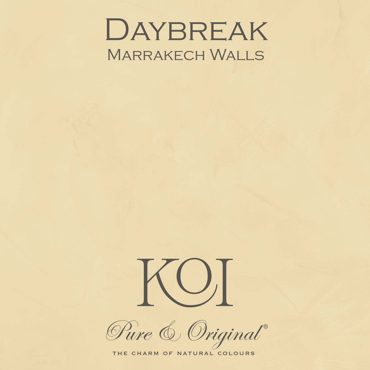 Pure & Original Daybreak - Marrakech Walls kalkstuc