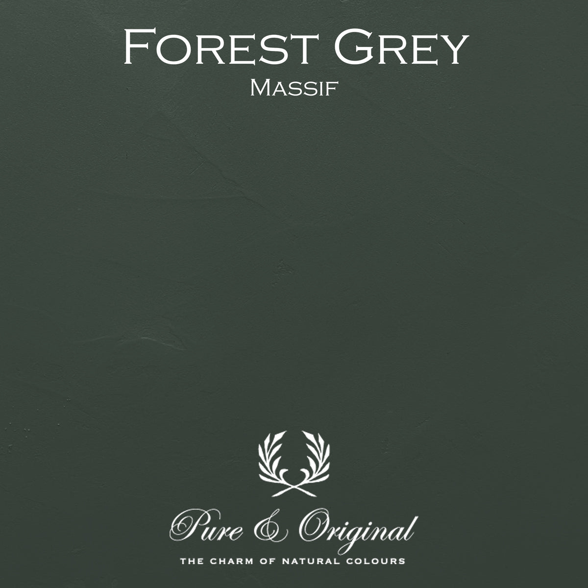 Pure & Original Forest Grey - Massif muurverf