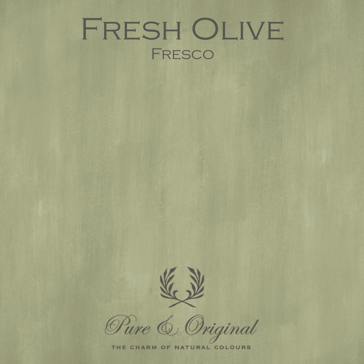 Pure & Original Fresh Olive - Fresco kalkverf