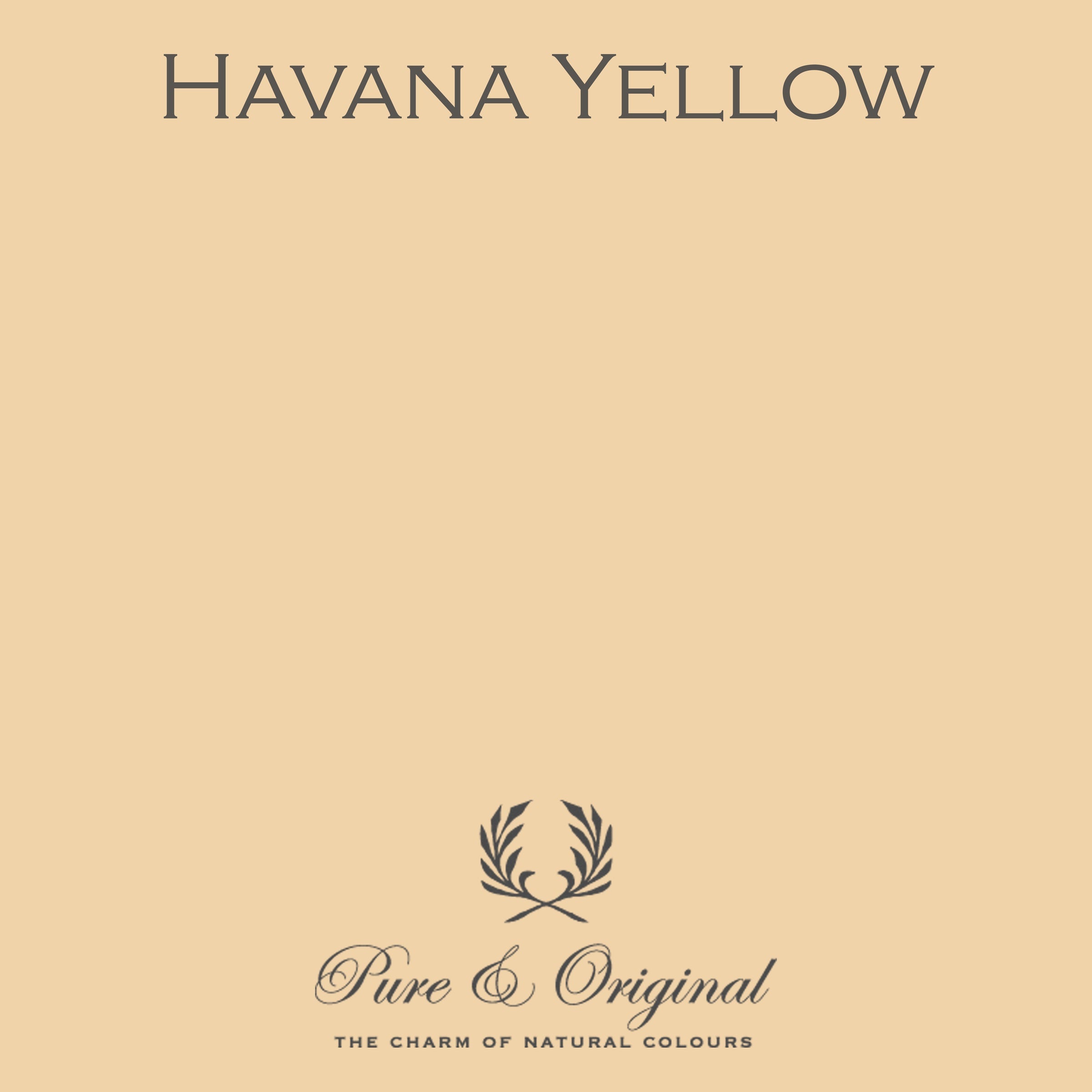 Pure & Original Havana Yellow - Classico krijtverf