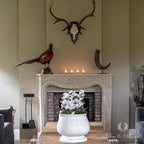 Pure & Original Jade Fresco kalkverf in interieur