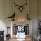 Pure & Original Jade Fresco kalkverf in interieur