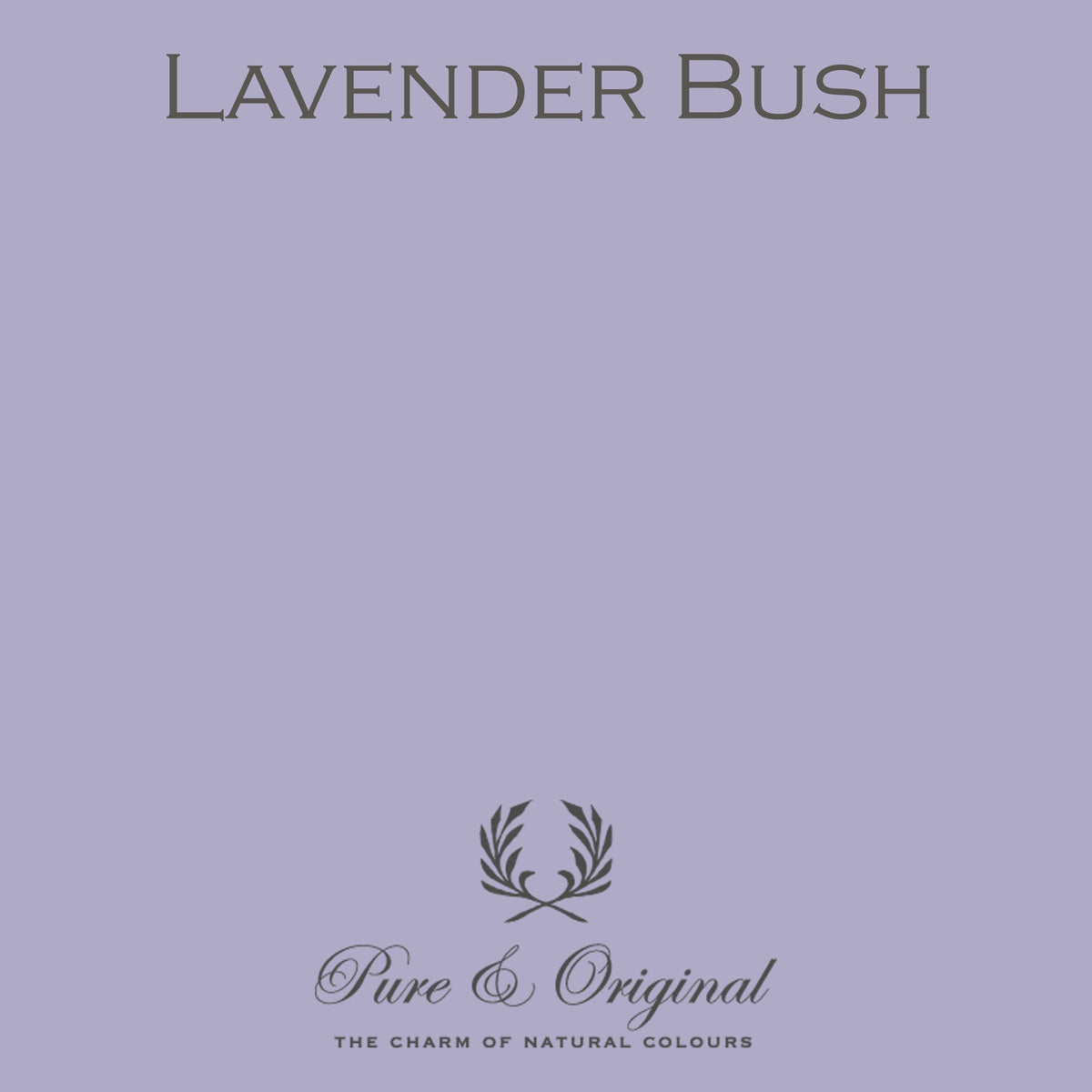 Pure & Original Lavender Bush - Classico krijtverf