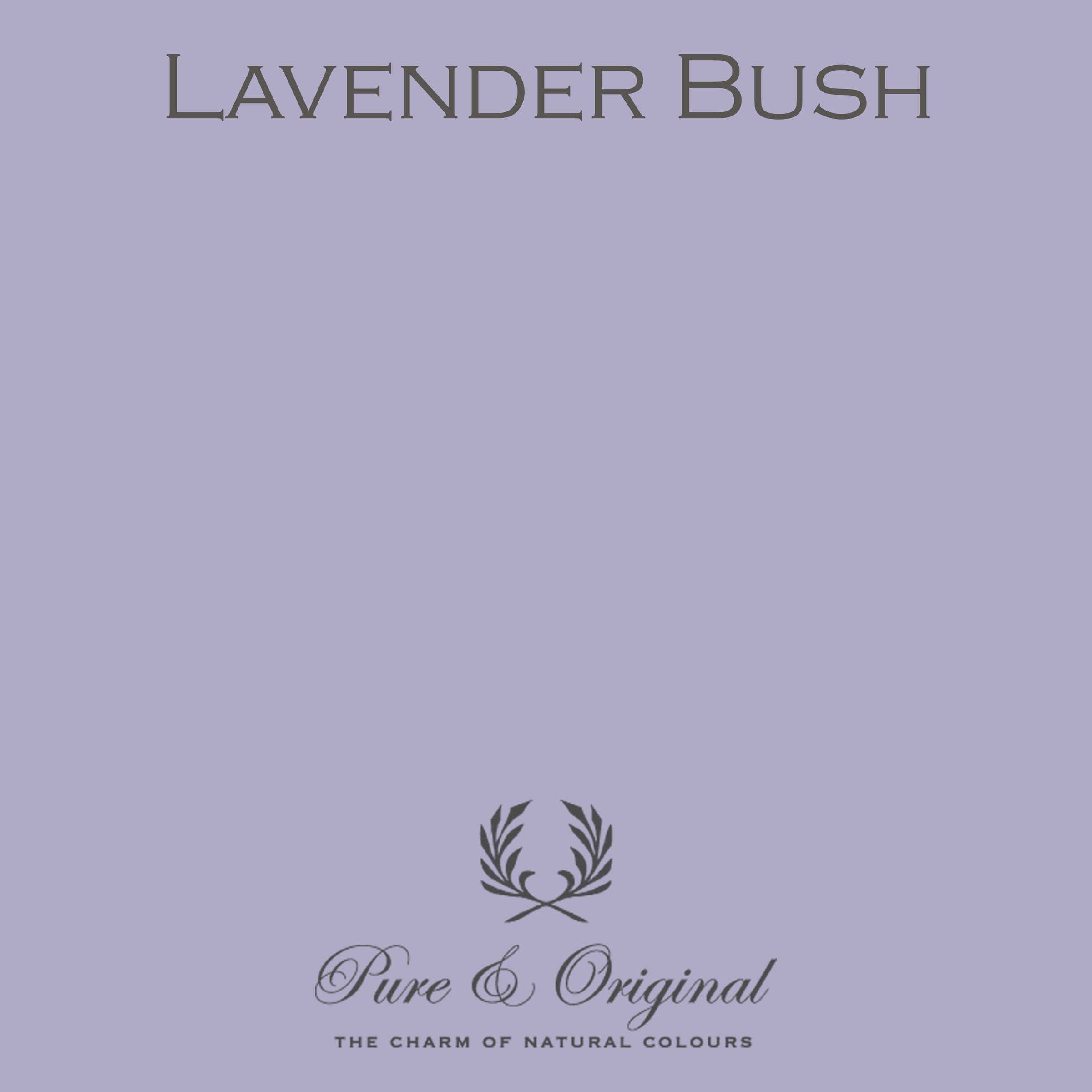 Pure & Original Lavender Bush - Classico krijtverf