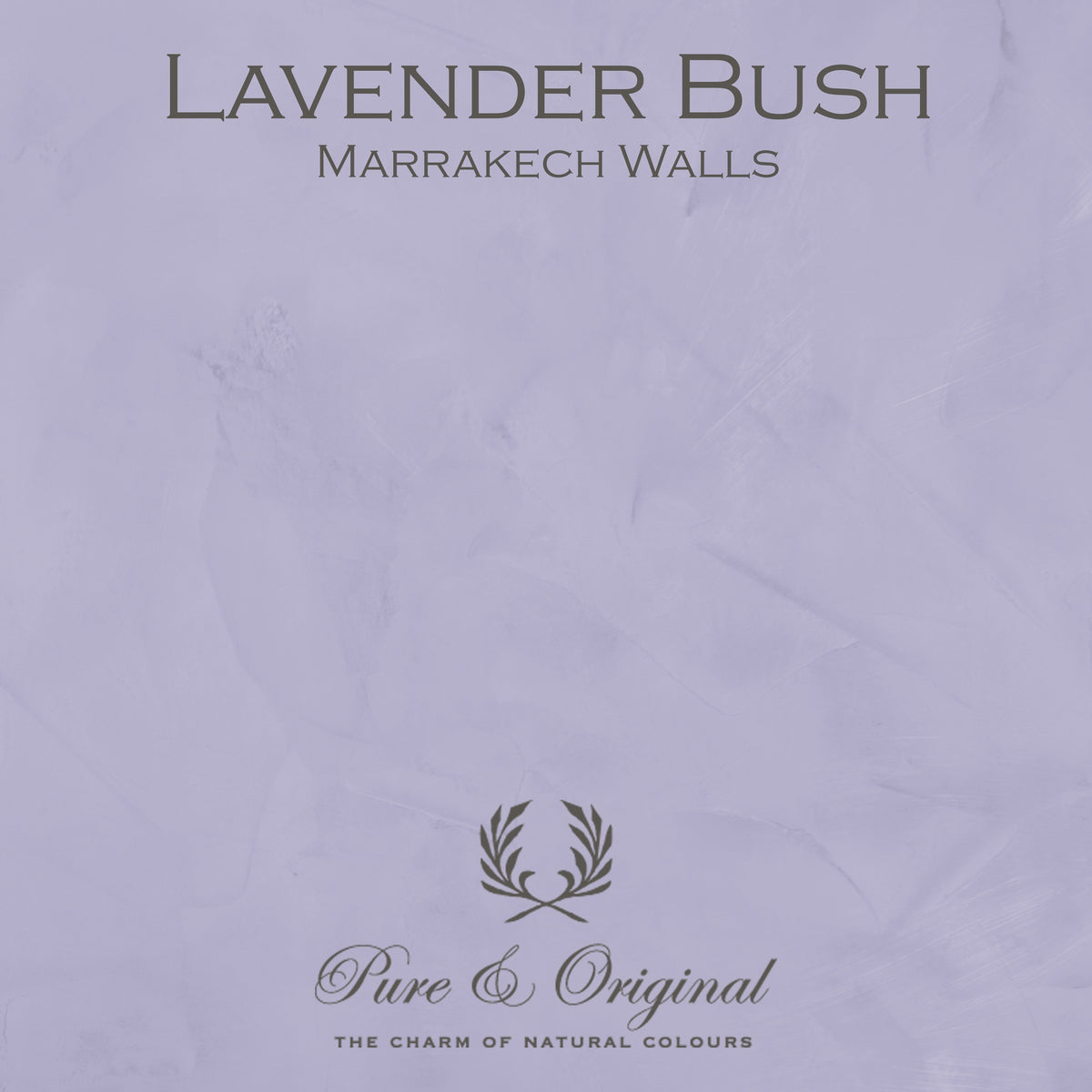 Pure & Original Lavender Bush - Marrakech Walls kalkstuc