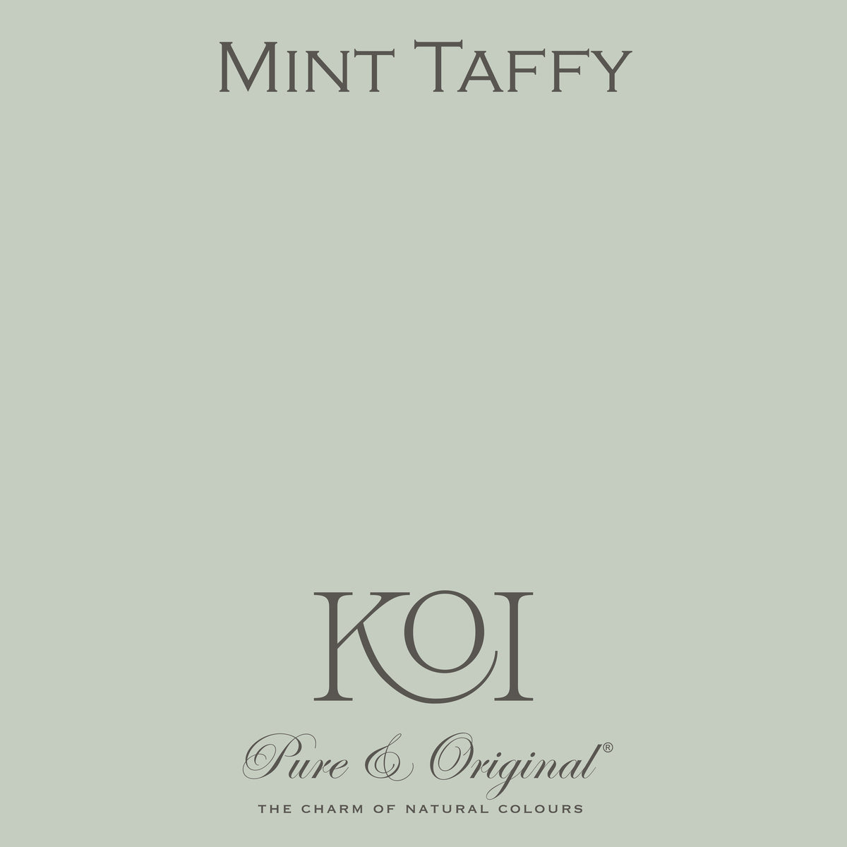 Pure & Original Mint Taffy - Classico krijtverf