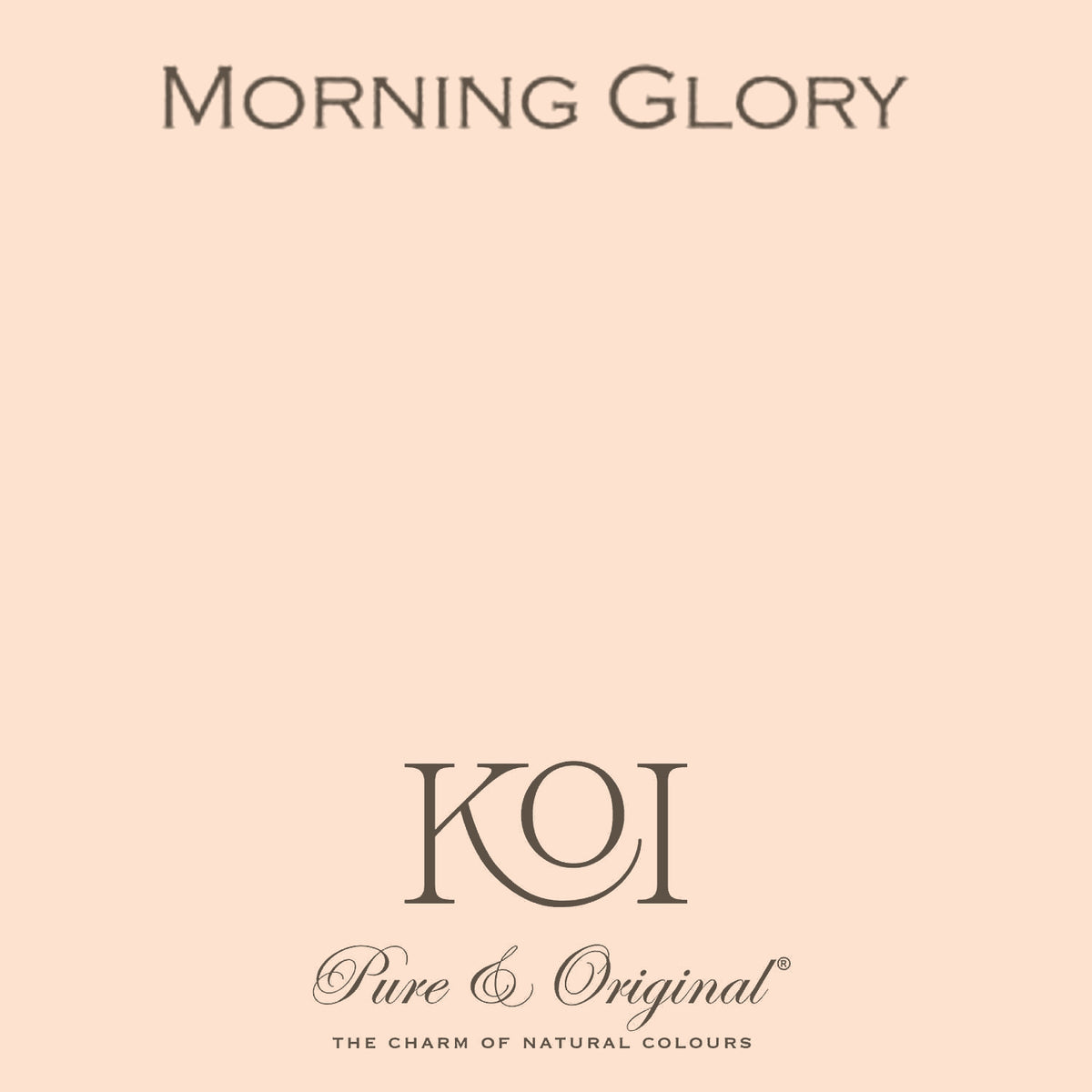 Pure & Original Morning Glory - Classico krijtverf