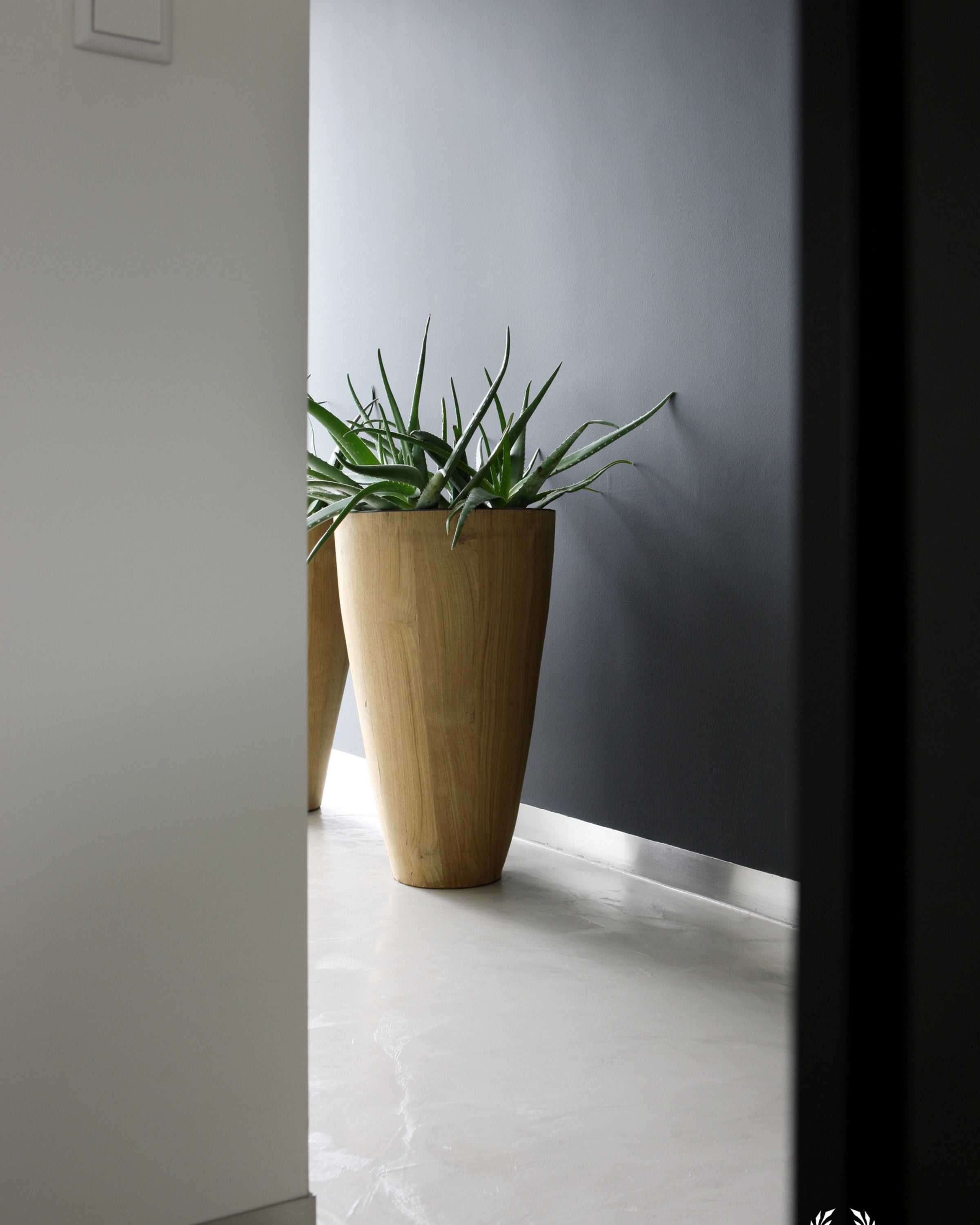 Pure & Original Oxford Blue Licetto muurverf in interieur