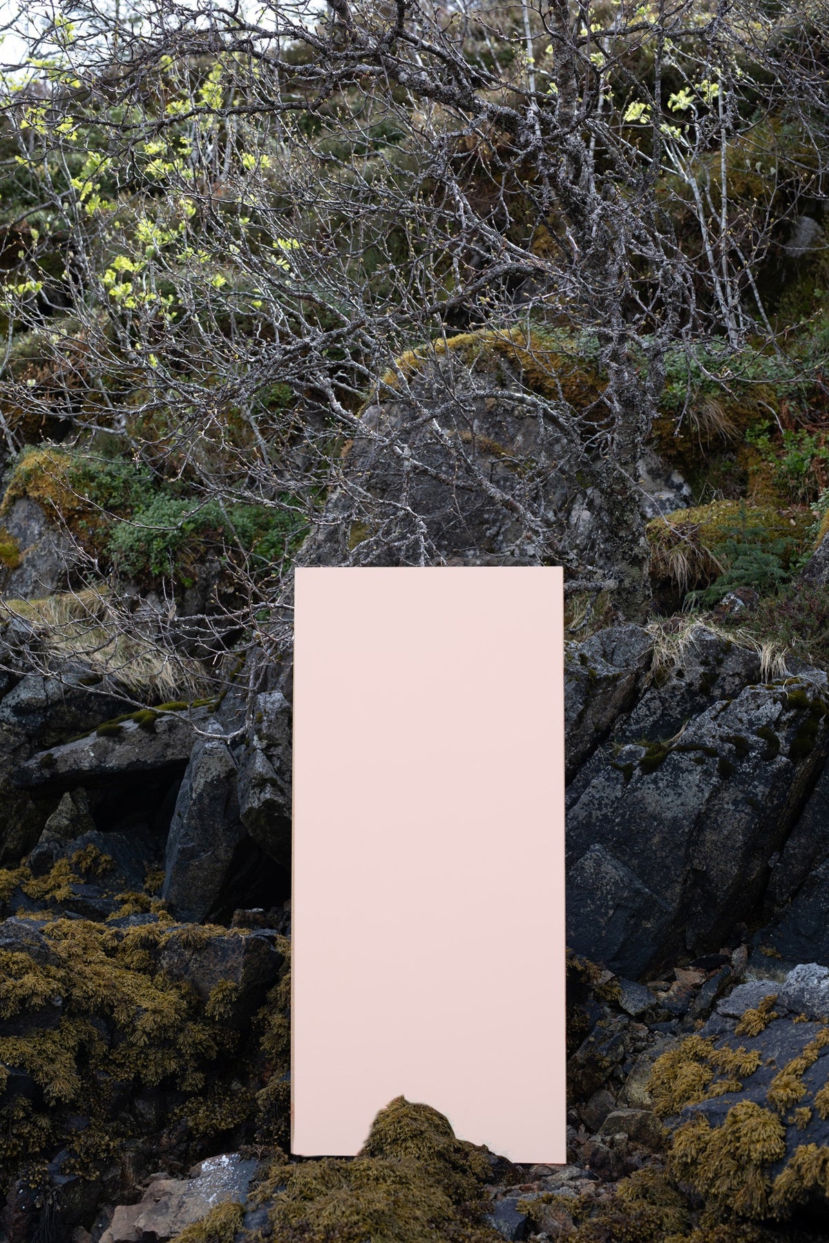 Pure & Original Pink Oyster - geschilderd paneel in de buitenlucht