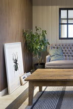 Pure & Original Rose Dust Fresco kalkverf in interieur