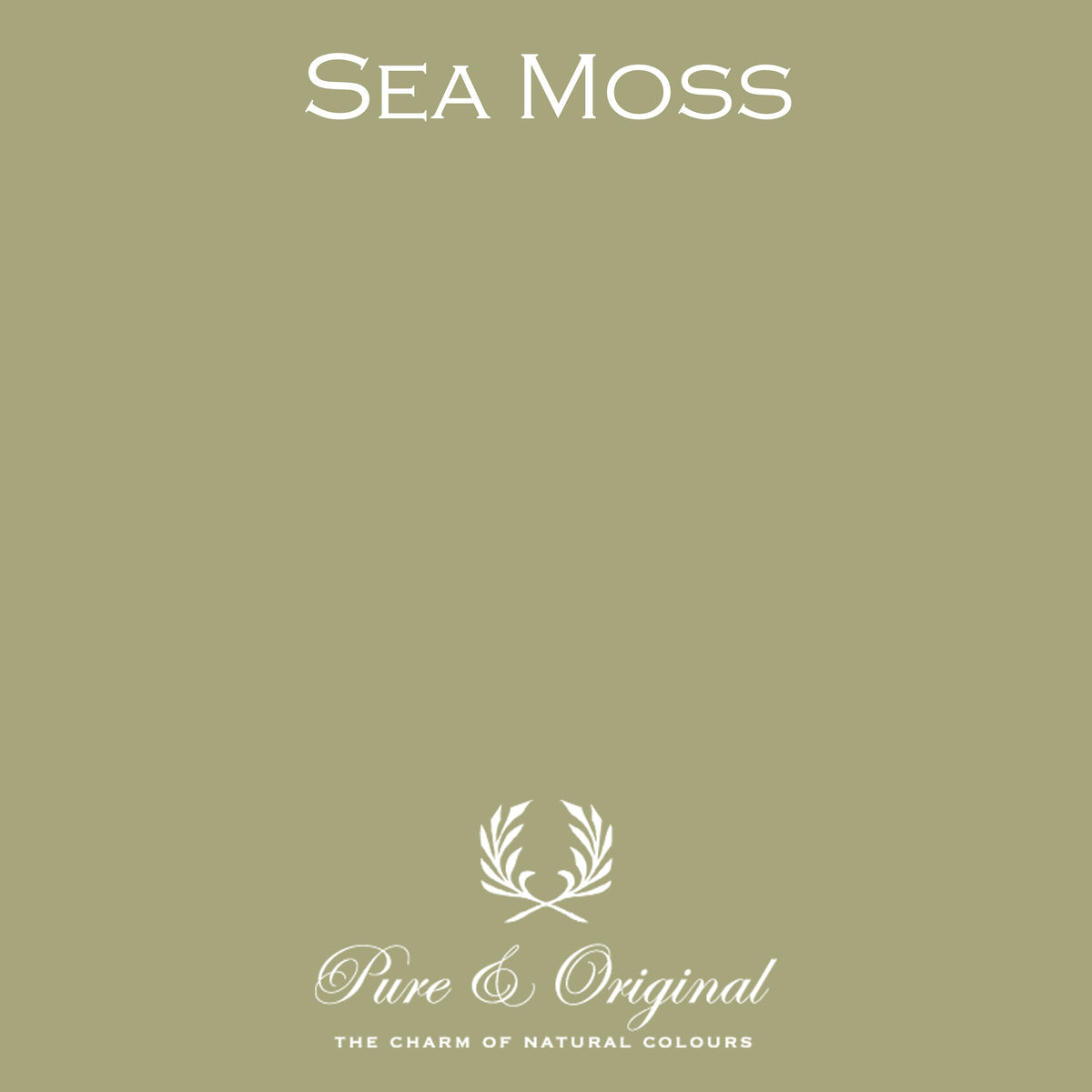 Pure & Original Sea Moss - Classico krijtverf