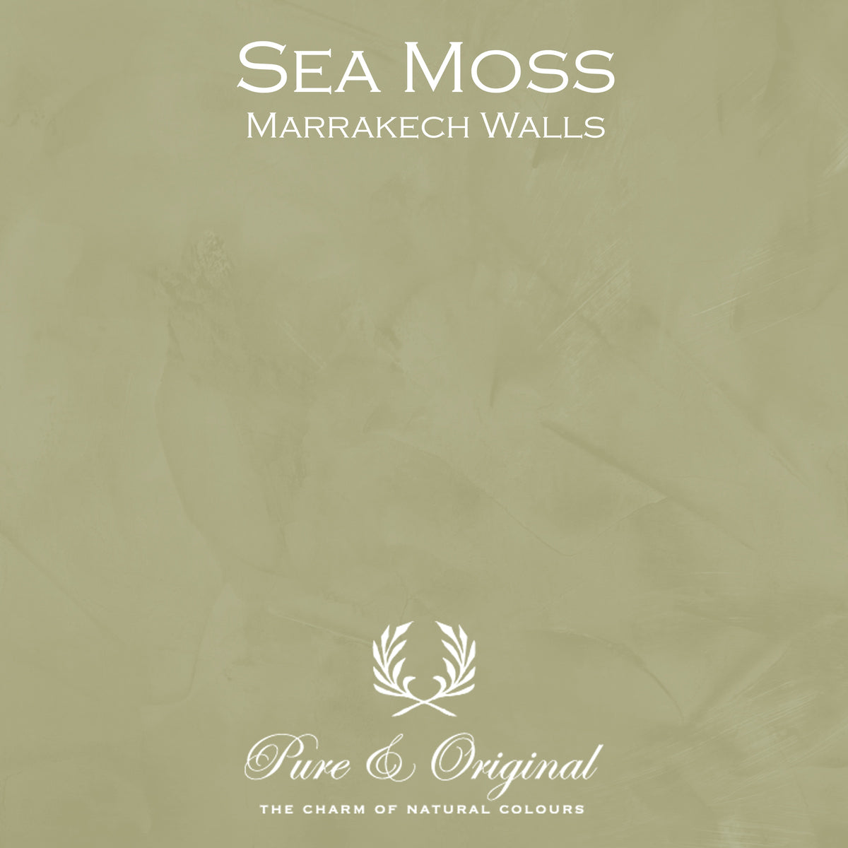Pure & Original Sea Moss - Marrakech Walls kalkstuc