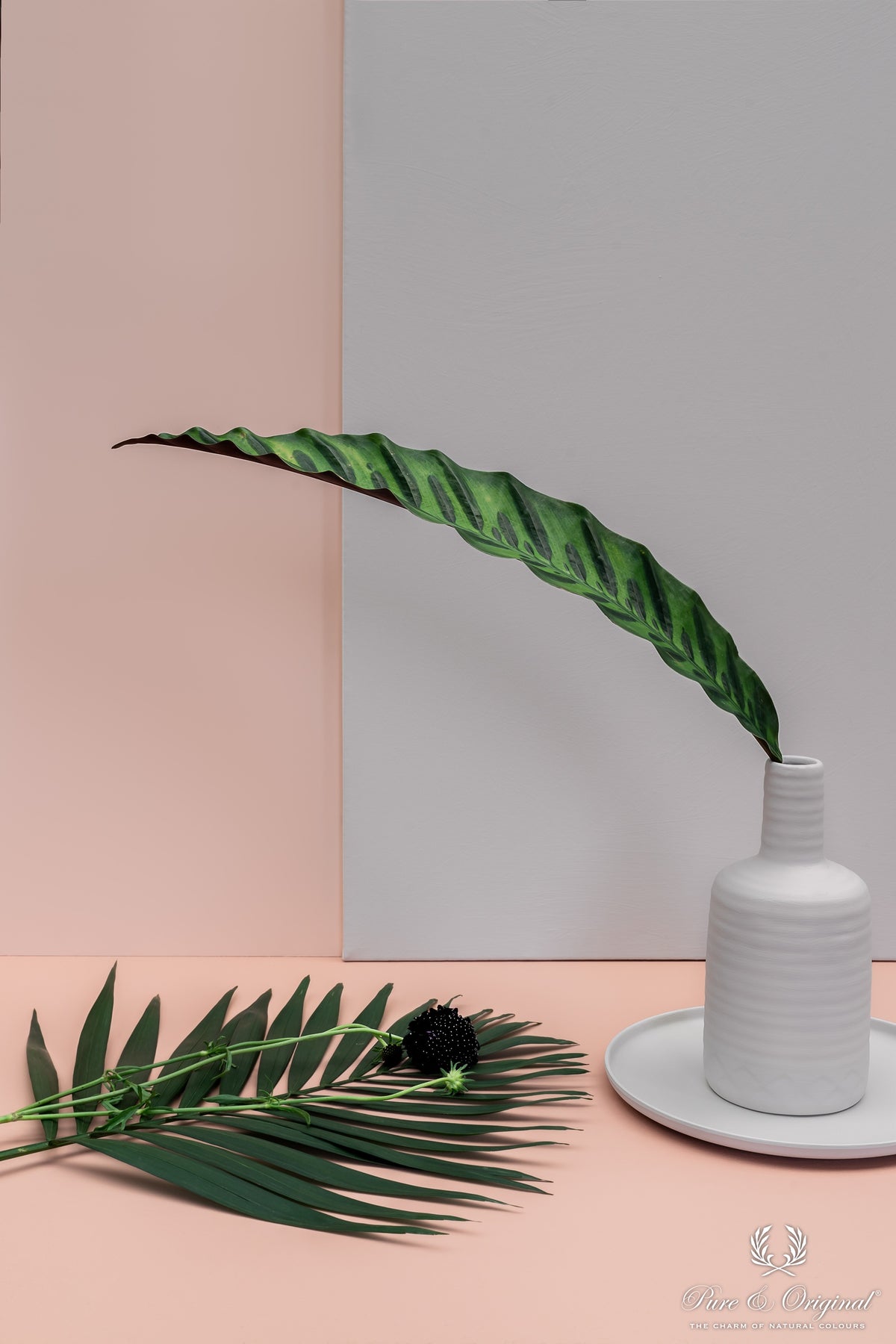 Pure & Original Soft Flamingo Licetto muurverf in interieur